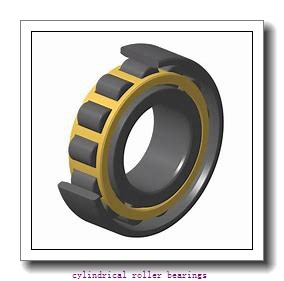 3.346 Inch | 85 Millimeter x 5.244 Inch | 133.21 Millimeter x 1.417 Inch | 36 Millimeter  INA RSL182217  Cylindrical Roller Bearings