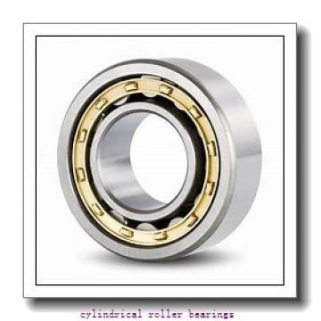 FAG NU310-E-M1-F1-T51F  Cylindrical Roller Bearings