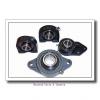 AMI UEFBL207-22CW  Mounted Units & Inserts #1 small image