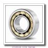 FAG NU313-E-M1-C4  Cylindrical Roller Bearings #1 small image