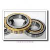 FAG N222-E-TVP2-C3  Cylindrical Roller Bearings #2 small image