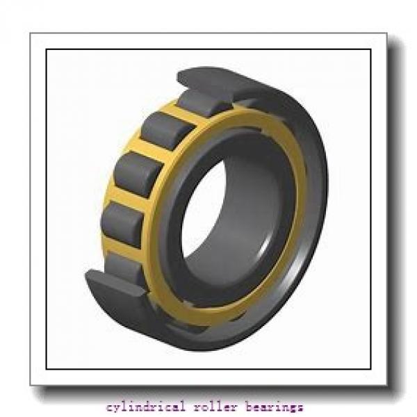 FAG NU324-E-M1-F1-T51F  Cylindrical Roller Bearings #1 image