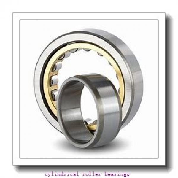 FAG NU309-E-M1-F1-T51F  Cylindrical Roller Bearings #1 image