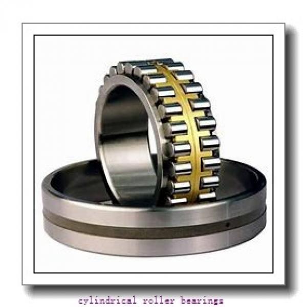220 mm x 400 mm x 65 mm  FAG NU244-E-M1  Cylindrical Roller Bearings #1 image