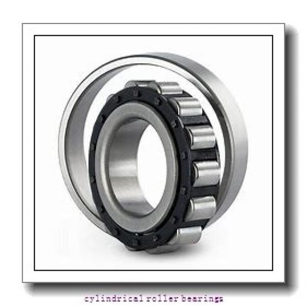 190 mm x 340 mm x 55 mm  FAG NU238-E-M1  Cylindrical Roller Bearings #1 image