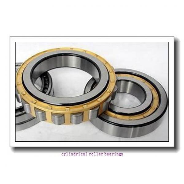 FAG NU310-E-M1-C4  Cylindrical Roller Bearings #1 image
