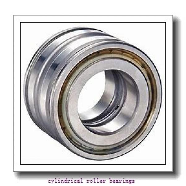 260 mm x 480 mm x 80 mm  FAG NU252-E-TB-M1  Cylindrical Roller Bearings #1 image
